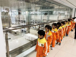 工廠體驗(yàn)游