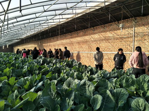 助推北京農業信息化發展，奧科美獲北京市農產品產銷信息協會表彰